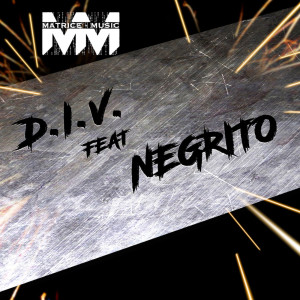 Album Beaucoup De Choses (Explicit) from D.I.V