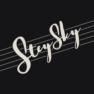 Listen to Hledám pevný kód song with lyrics from STEYSKY