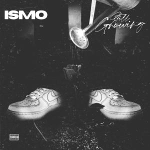 收听Ismo的Still Growing (Explicit)歌词歌曲