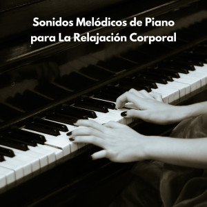 Album Sonidos Melódicos De Piano Para La Relajación Corporal oleh Relajación Piano