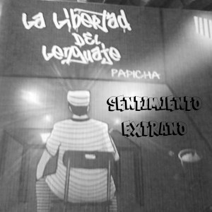 Listen to Sentimiento Extraño (Explicit) song with lyrics from Papicha