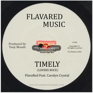 Listen to Timely(feat. Carolyn Crystal & Mellow Moods) song with lyrics from FlavaRed
