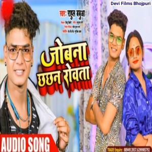 Listen to Jobna Chhachhan Rovata song with lyrics from Rahul Babua