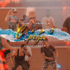 ดาวน์โหลดและฟังเพลง COPI PEGA (feat. Shaguitomi) พร้อมเนื้อเพลงจาก Fogon