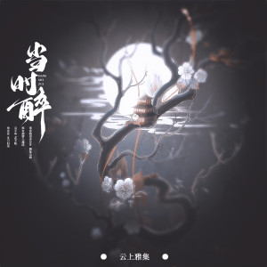 Listen to 当时醉 song with lyrics from 云上雅集