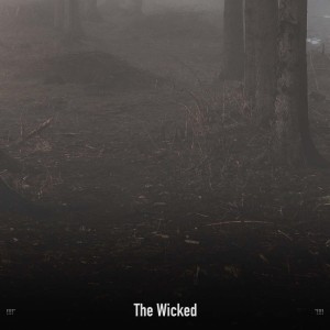 !!!!" The Wicked "!!!!