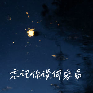 Album 忘记你谈何容易 from 王佳音