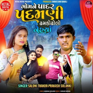Album Gomne Padar Padmani Dhamko Dholo Nehya from Saloni Thakor