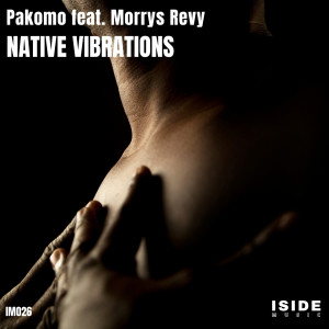 Album Native Vibrations from 