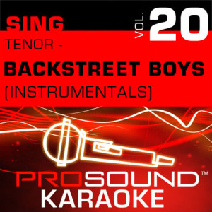 ดาวน์โหลดและฟังเพลง Show Me The Meaning of Being Lonely (Karaoke Instrumental Track) [In the Style of Backstreet Boys] พร้อมเนื้อเพลงจาก ProSound Karaoke Band