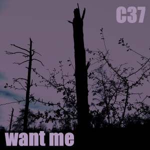 收聽C37的Want Me歌詞歌曲