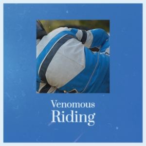 Listen to Venomous Riding song with lyrics from Rony Swen