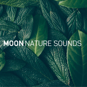 收聽Moon Tunes的Sandy Beach歌詞歌曲