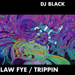 Album law fye (trippin') from DJ Black