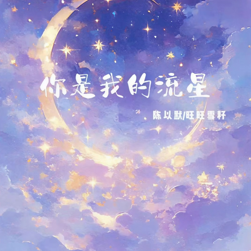 你是我的流星 (伴奏)