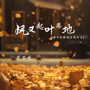 收聽花不晚的風又起葉落地 (回不去的何止時間)歌詞歌曲