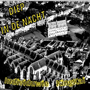 收聽Individuwie的Diep in de nacht歌詞歌曲