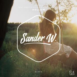 Album Hollow (feat. Martin Wagler) (Sander W. Remix) from Oleska