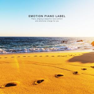 Various Artists的专辑Collection of emotional piano recalling the faint memories of past days