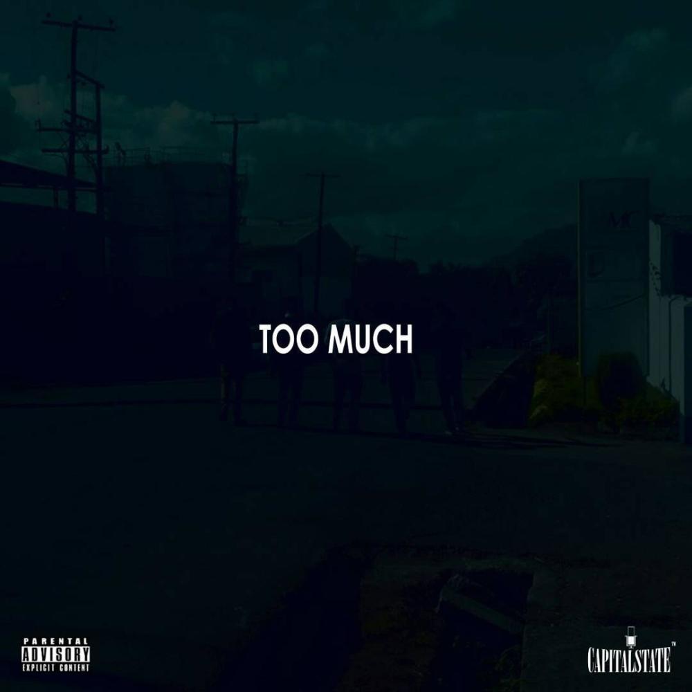 Too Much (feat. Priceless) (Explicit)