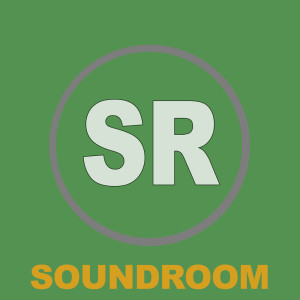 ดาวน์โหลดและฟังเพลง Super Boom (Original Mix) พร้อมเนื้อเพลงจาก Big Bunny