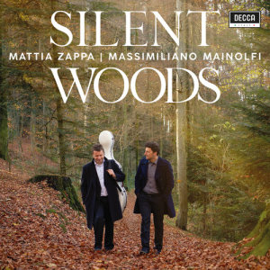 Mattia Zappa的專輯Silent Woods