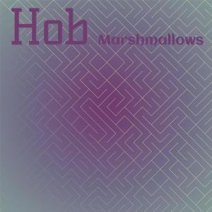 收听Adin Mliano的Significant Ceraunics歌词歌曲