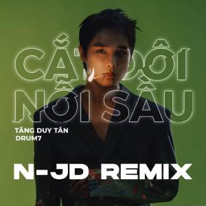 Album Cắt Đôi Nỗi Sầu (Remix) oleh Tăng Duy Tân