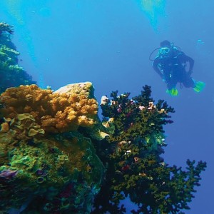 ดาวน์โหลดและฟังเพลง The Blue Lake Story พร้อมเนื้อเพลงจาก Firdaus Alma