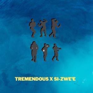 Album Schwarzenegger (feat. Si-zwe'e) from Tremendous