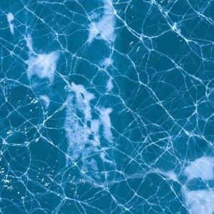 Album Break My Heart-Dua Lipa from 水边的阿狄丽娜Helina