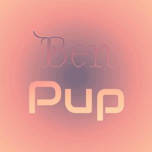 Listen to Ben Pup song with lyrics from Feon Dler