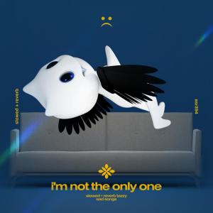 Listen to i'm not the only one - slowed + reverb song with lyrics from Tazzy