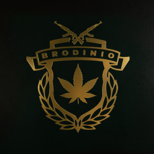 Dengarkan RWR (Explicit) lagu dari Brodinio dengan lirik