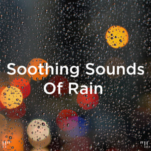 收聽Meditation Rain Sounds的Rain Sound歌詞歌曲