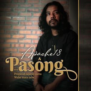 Nazar Shah Alam的专辑Pasong