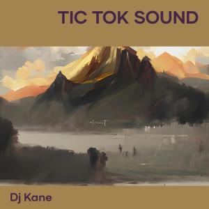 Album Tic Tok Sound oleh DJ Kane