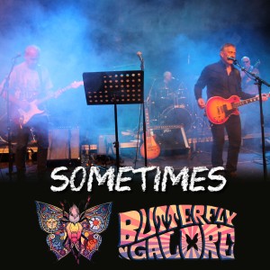 ดาวน์โหลดและฟังเพลง Sometimes พร้อมเนื้อเพลงจาก Butterfly Galore
