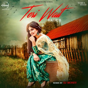 Teri Wait (Remix) - Single