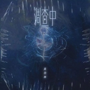 收聽吳岱林的調查中 (男版)歌詞歌曲