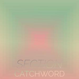 Various Artists的專輯Section Catchword