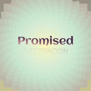 Various Artists的專輯Promised Afternoon