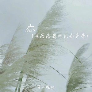 收聽蔣小呢ya的你(風輕輕我聽見你聲音)歌詞歌曲
