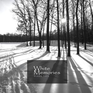Album White Memories from Glass Tree
