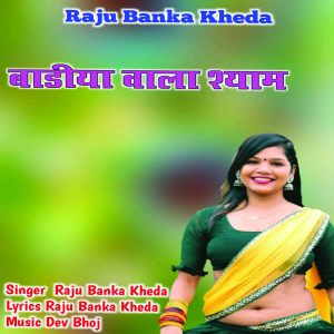 Album Badiya Wala Shyam from 