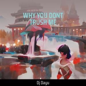 Listen to Why You Dont Trush Me song with lyrics from DJ DAYU