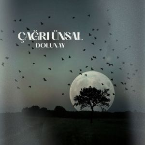 Album Dolunay from Çağrı Ünsal
