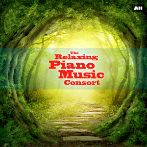 ดาวน์โหลดและฟังเพลง Breathe พร้อมเนื้อเพลงจาก Relaxing Piano Music Consort