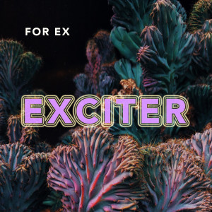 收听Exciter的For Ex歌词歌曲