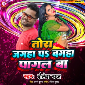 Listen to Tora Jagha Par Bagaha Pagal Ba song with lyrics from Shailesh Raj